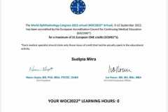 Certificate of Attendance (WOC2022 Virtual)